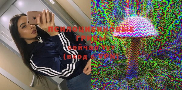 дмт Алексеевка